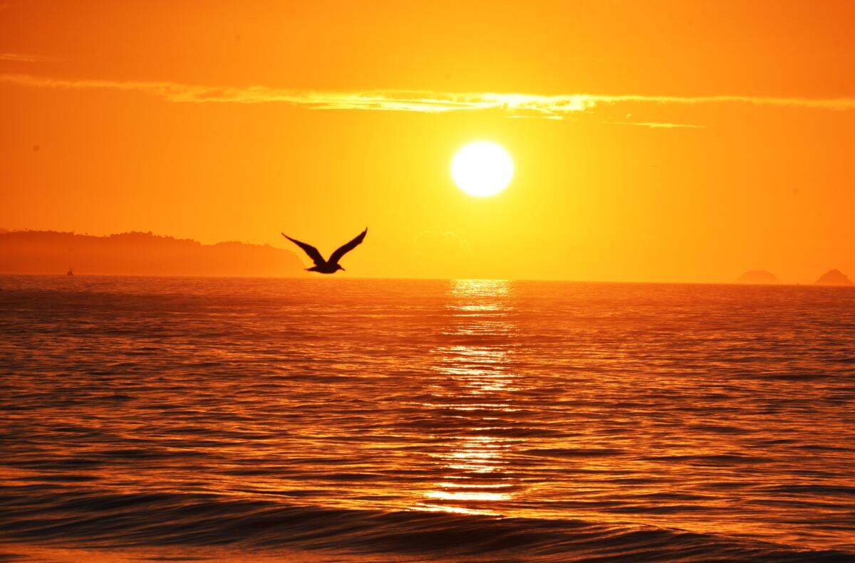 Sessao Canto do Recreio – 2026-03-28 – Manhã