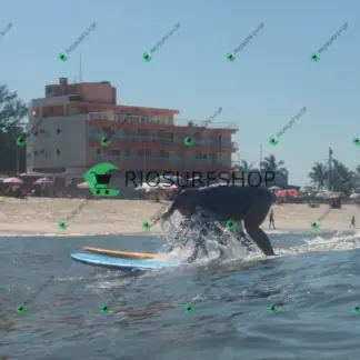 Foto 259 - Praia da Macumba 2026-03-21