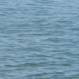 Video 38 - Praia da Macumba 8w 2026-03-22