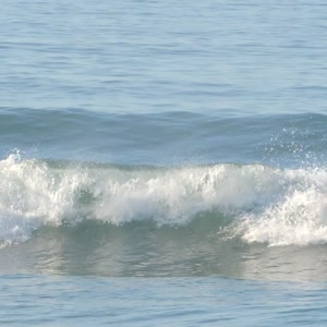 Video 27 - Praia da Macumba 8w 2026-03-22