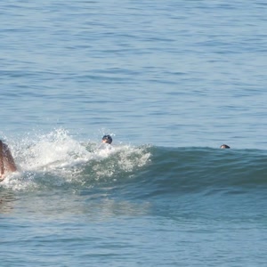 Video 36 - Praia da Macumba 8w 2026-03-22