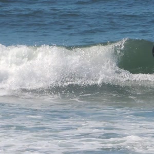 Video 101 - Praia da Macumba 8w 2026-03-22