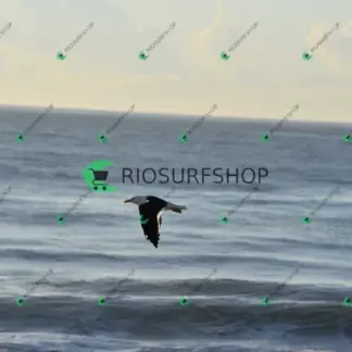 Foto 133 - Canto do Recreio 2026-03-23