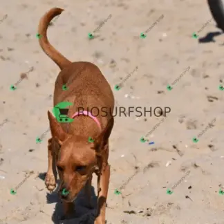 Foto 837 - Canto do Recreio 2026-03-23