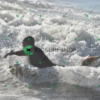 Foto 765 - Canto do Recreio 2026-03-25