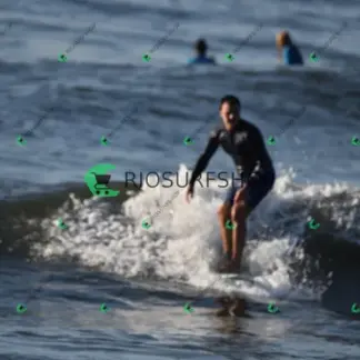 Foto 232 - Canto do Recreio 2026-03-26