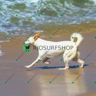 Foto 961 - Praia da Macumba 2026-03-26