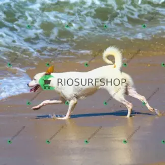 Foto 986 - Praia da Macumba 2026-03-26