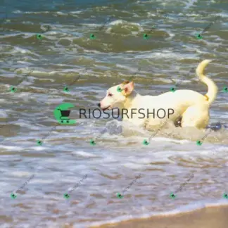 Foto 970 - Praia da Macumba 2026-03-26