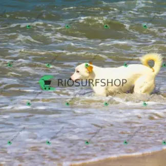 Foto 963 - Praia da Macumba 2026-03-26