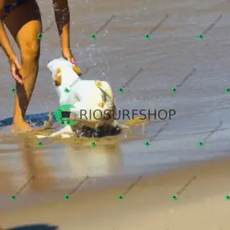 Foto 972 - Praia da Macumba 2026-03-26