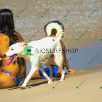 Foto 979 - Praia da Macumba 2026-03-26