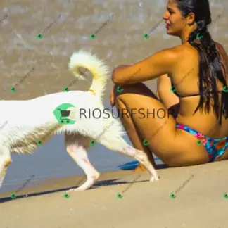 Foto 990 - Praia da Macumba 2026-03-26