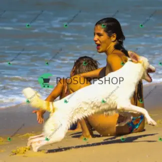 Foto 978 - Praia da Macumba 2026-03-26