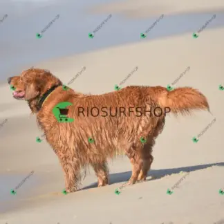 Foto 253 - Canto do recreio,Colégio MX,pista de Skate 2026-03-27