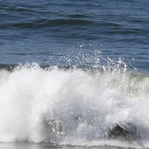 Video 559 - Canto do recreio,Colégio MX,pista de Skate 2026-03-27