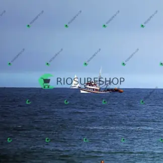 Foto 178 - Praia da Macumba 2026-03-27