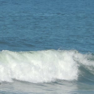 Video 84 - Praia da Macumba 8w 2026-03-28