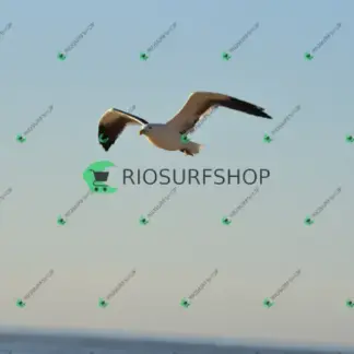 Foto 81 - Canto do recreio,Colégio MX,pista de Skate 2026-03-29