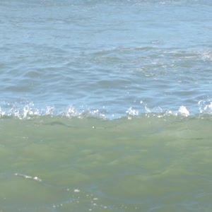 Video 44 - Praia da Macumba 8w 2026-03-29