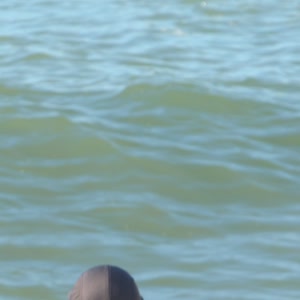 Video 42 - Praia da Macumba 8w 2026-03-29