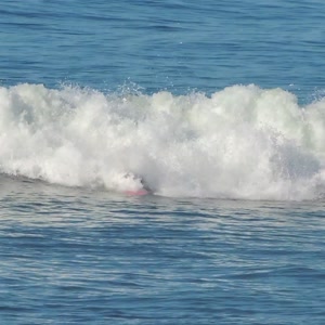 Video 52 - Praia da Macumba 8w 2026-03-29