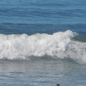 Video 103 - Praia da Macumba 8w 2026-03-29