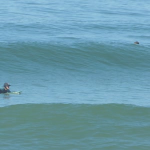 Video 112 - Praia da Macumba 8w 2026-03-29