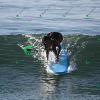 Foto 131 - Canto do recreio,Colégio MX,pista de Skate 2026-03-30