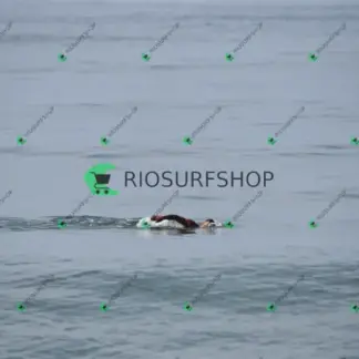 Foto 688 - Canto do recreio,Colégio MX,pista de Skate 2026-03-30