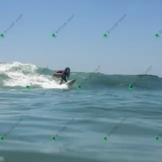 Foto 82 - Canto do Recreio 2026-02-13