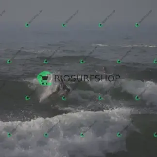 Foto 528 - Canto do Recreio 2026-04-03