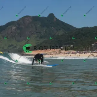 Foto 80 - Praia da Macumba 2026-04-04