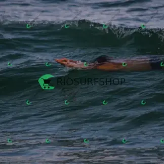 Foto 177 - Praia da Macumba 2026-04-06