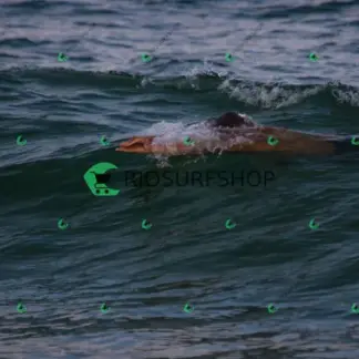 Foto 187 - Praia da Macumba 2026-04-06