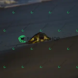 Foto 149 - Praia da Macumba 2026-04-07