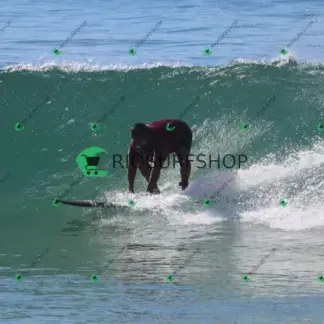 Foto 1196 - Canto do Recreio 2026-04-09