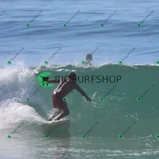 Foto 1262 - Canto do Recreio 2026-04-09