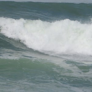 Video 68 - Praia da Macumba 8w 2026-04-18