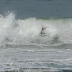 Video 73 - Praia da Macumba 8w 2026-04-18