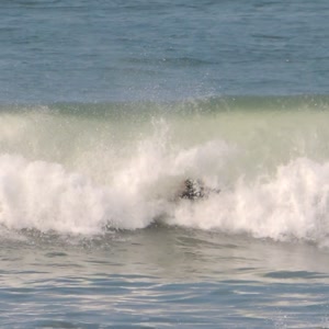 Video 78 - Praia da Macumba 8w 2026-04-19