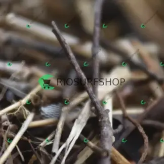 Foto 107 - Praia Brava - Angra 2026-04-29