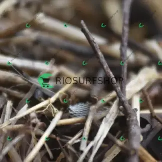 Foto 109 - Praia Brava - Angra 2026-04-29