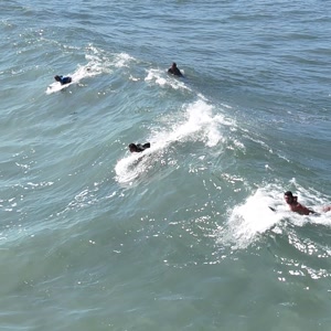 Video 6 - Prainha 2026-04-30