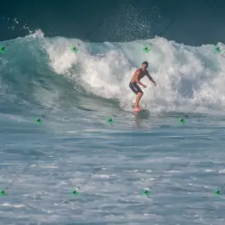 Foto 67 - BarraBela - P6 2026-02-16