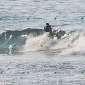 Foto 86 - BarraBela - P6 2026-02-16