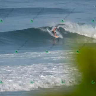 Foto 98 - BarraBela - P6 2026-02-16