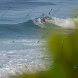 Foto 102 - BarraBela - P6 2026-02-16