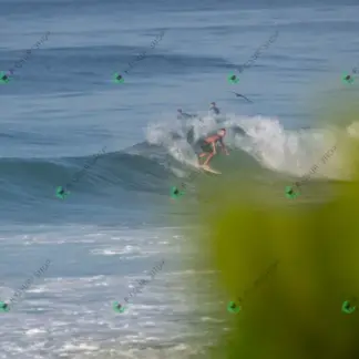 Foto 96 - BarraBela - P6 2026-02-16