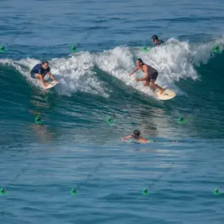 Foto 136 - BarraBela - P6 2026-02-16